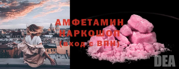 ешки Алексин