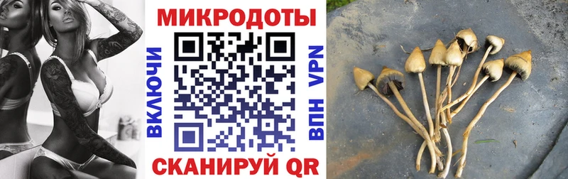 гидра ССЫЛКА  хочу   Собинка  Псилоцибиновые грибы прущие грибы 